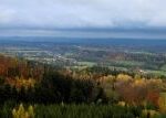 Miliony zasazených stromů i výstava dravců