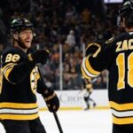 Pastrňák dal gól, Zacha dvakrát nahrával a Boston porazil Anaheim