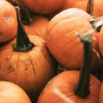 Šokující ceny dýní na Halloween: Jak oslavit bez bankrotu?