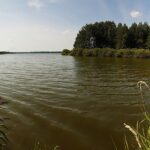 Výlov Rožmberka zrušený kvůli suchu nahradí Dny s třeboňskými rybáři
